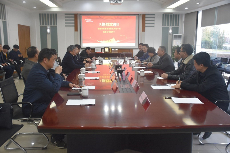 合肥市常務(wù)副市長王文松一行蒞臨公司調(diào)研指導